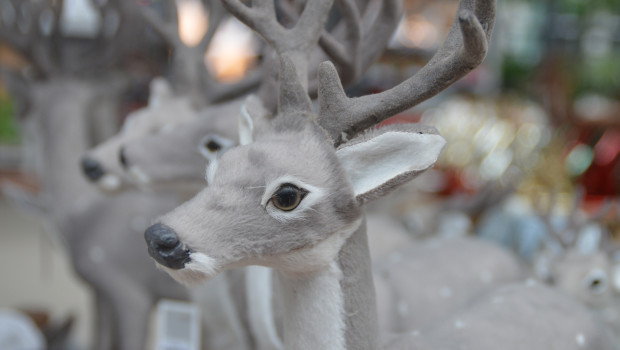 Die Handelsunternehmen berichten von keiner spürbaren Verbesserung.&nbsp;