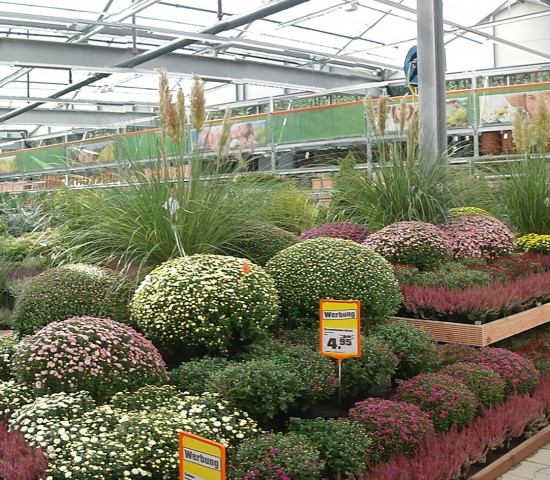 Das Obi-Gartencenter ist rund 2.500 m² groß.
