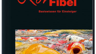 Basiswissen zu einem Basisthema
