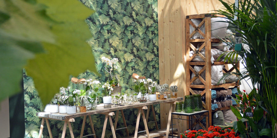 Gartencenter, Michael Löschau, Oldenburg