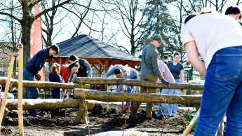 Bauhaus pflanzt Waldinsel in Dresden