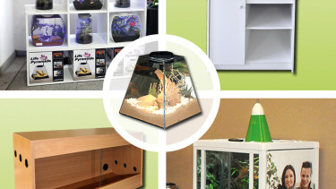 Wohnlichkeit und Terraristik