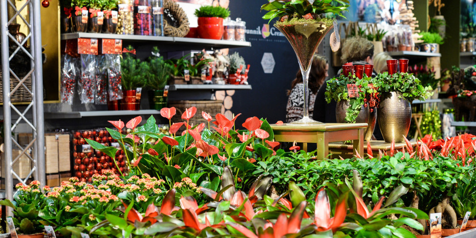 Christmasworld, Paperworld, Creativeworld