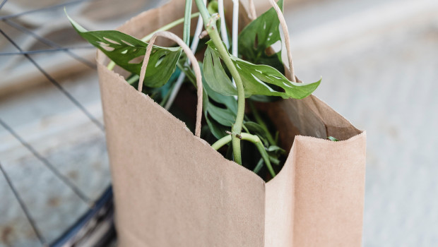Trotz eines hohen Nachhaltigkeitsbewusstseins in der Bevölkerung wird nicht entsprechend eingekauft.&nbsp;