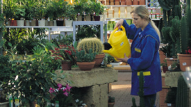 Enttäuschung vor allem im Garten