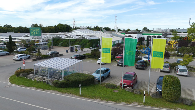 So sieht es jetzt bei Pflanzen-Kölle aus - hier ein Bild vom Markt in München-Untermenzing.