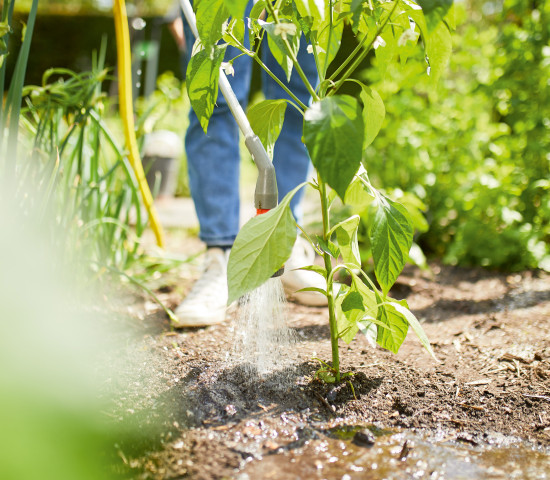 Nachhaltiges Gärtnern ist &nbsp;im Alltag vieler Hobbygärtner fest verwurzelt, ist man sich &nbsp;bei Compo sicher. &nbsp;&nbsp;