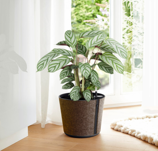 Casa Sleeve mit einzigartigem Textilmantel ist eine echte Innovation im Gartenmarkt und verbindet aktuelle Wohntrends mit der durchdachten Serie Casa.&nbsp;