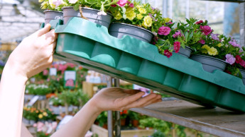 Bauhaus führt Pfandsystem für Mehrweg-Pflanzentrays ein