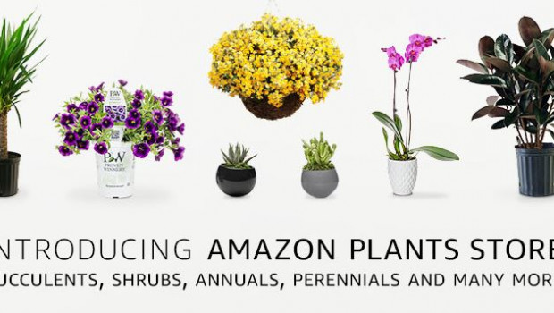 Mit seinem Plants Store engagiert sich Amazon deutlich stärker als bisher im Pflanzengeschäft. Mit seinem Plants Store engagiert sich Amazon deutlich stärker als bisher im Pflanzengeschäft.