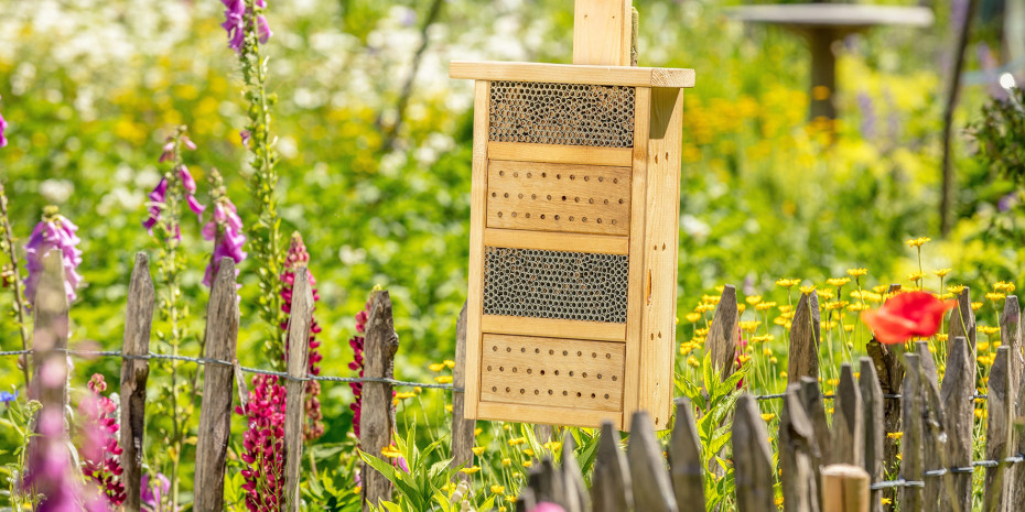 Neudorff, Bienenhaus
Neudorff, Bienenhaus