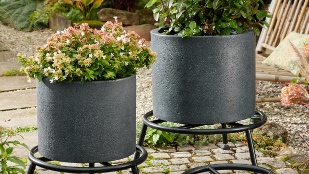 Die Pflanzenständer sind auf schwere Lasten ausgelegt und sorgen für eine gute Luftzirkulation.&nbsp;