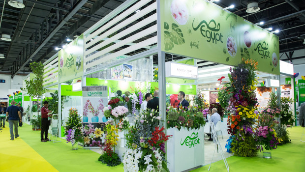 Auf der IPM Dubai zeigten 103 Unternehmen ihre Produkte aus den Bereichen Pflanzen, Gartenbautechnik, Floristik, Ausstattung, Logistik, Pflanzenpflege sowie Ausstattung für den Garten- und Landschaftsbau. Auf der IPM Dubai zeigten 103 Unternehmen ihre Produkte aus den Bereichen Pflanzen, Gartenbautechnik, Floristik, Ausstattung, Logistik, Pflanzenpflege sowie Ausstattung für den Garten- und Landschaftsbau.