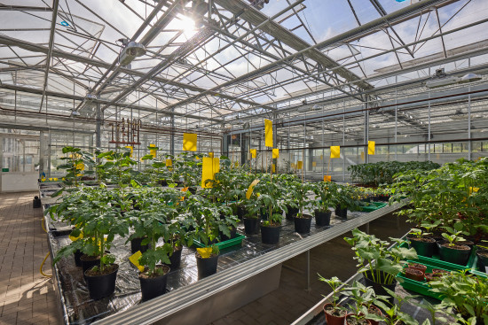 Im firmeneigenen Innovationszentrum forscht Neudorff an nachhaltigen und wirksamen Lösungen für den Hobbygarten, Profigartenbau und die Landwirtschaft.