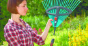 Gutes erstes Halbjahr für den Ulmer Gartenspezialisten