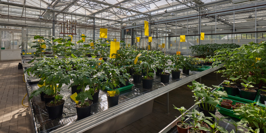 Der Erhalt der Biodiversität bleibt ein Anliegen für Neudorff. Das Unternehmen unterstützt dies unter anderem mit seinen Produkten für naturnahes Gärtnern.