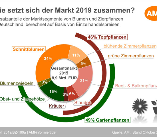Die Zusammensetzung des Marktes für Blumen und Topfpflanzen in der Aufschlüsselung der AMI.
Die Zusammensetzung des Marktes für Blumen und Topfpflanzen in der Aufschlüsselung der AMI.