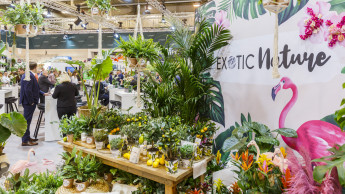 IPM Summer Edition erhält viel Zustimmung aus der grünen Branche IPM Summer Edition erhält viel Zustimmung aus der grünen Branche