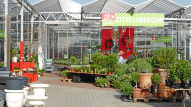 Transparente Entscheidungen