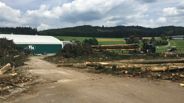 FN Neuhofer Holz kommt mit der Erweiterung seines Firmensitzes in Zell am Moos voran. Inzwischen sind die Fällarbeiten abgeschlossen.