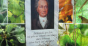 Goethe im Grünen