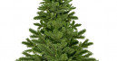 Verband Natürlicher Weihnachtsbaum e. V. wurde gegründet