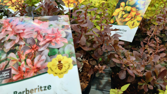 59 Prozent der Befragten fördert aktiv das Nahrungsangebot für Insekten und Vögel in ihrem Garten.&nbsp;