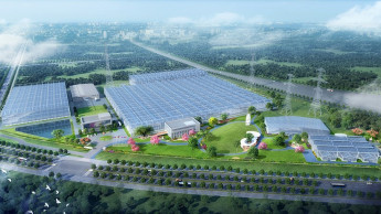 Benarys Züchtungsstandort in China schreitet voran Benarys Züchtungsstandort in China schreitet voran