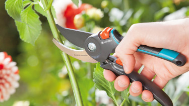 Studie bescheinigt Gardena hohe unternehmerische Verantwortung