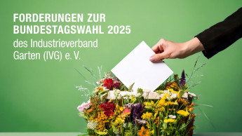 IVG fordert Maßnahmen von der Politik