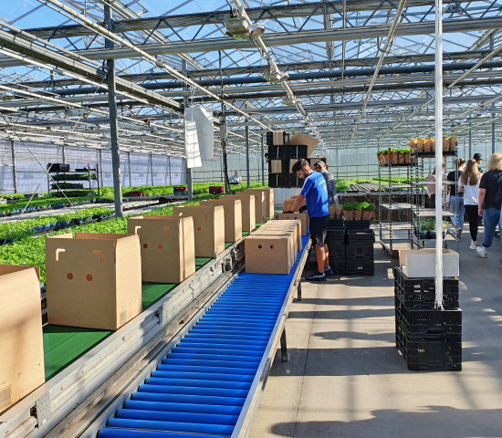 Auf den eintägigen Azubitagen vertiefen die Berufseinsteiger ihr Wissen über die Branche durch den Besuch von Produktionsbetrieben.