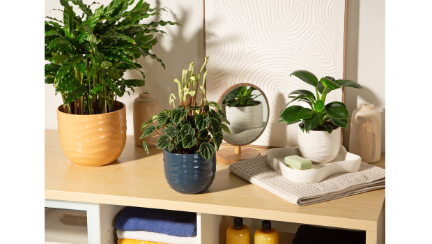 Scheurich, Übertopfserie