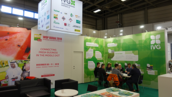 IVG erstmals auf der Fruit Logistica