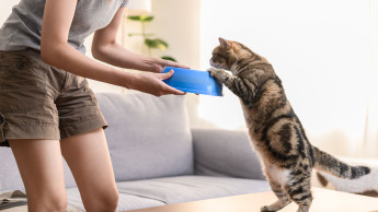 Katzenfutter hui, Kleintier- und Vogelfutter pfui