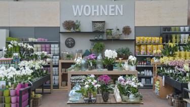 Von Markt zu Markt