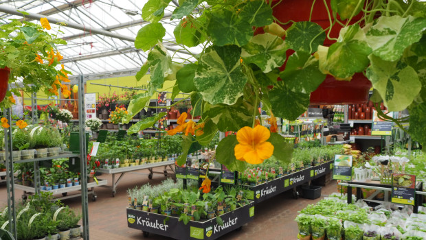 Das Gartengeschäft hat im Mai deutlich angezogen.