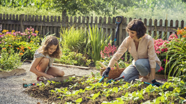 Gardena entführt mit neuem Podcast in Traumgärten