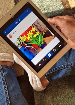 Seit einigen Tagen sind im Bonner Knauber-Markt flächendeckend Ipads in allen Abteilungen installiert (Foto: Pixabay).