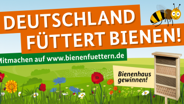 Branchenverbände unterstützen Initiative „Bienen füttern!“