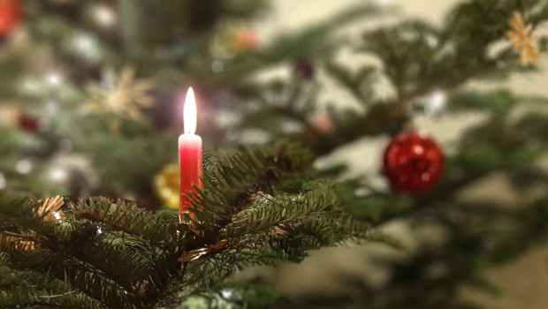 Heute schon an Weihnachten denken - immerhin dauert es nur noch ein halbes Jahr, bis der Baum in der guten Stube steht. Er wird dann nur ein klein wenig mehr kosten als vor einem halben Jahr.