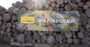 Pro Fagus: Aufforsten im Root Camp