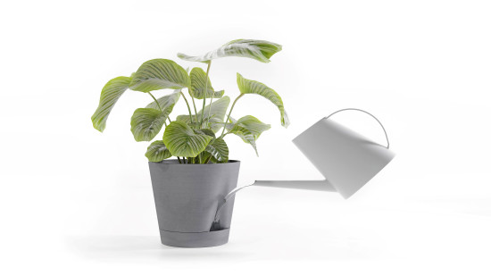 Eine Öffnung an der Seite des Topfes „Venice 2“ von Ecopots vereinfacht die Versorgung der Pflanze mit Wasser.&nbsp;