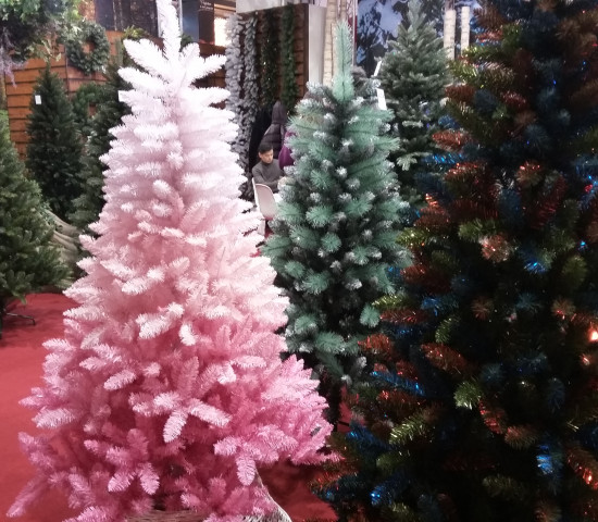 ... möglicherweise aber auch Rosa ...