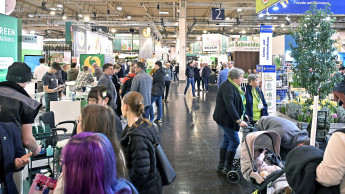 Die zentrale grüne Plattform