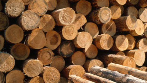 Die deutsche Holzindustrie verzeichnete im ersten Halbjahr 2014 ein Umsatzwachstum von 3,9 Prozent.
