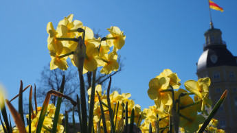 Frohe Ostern! Frohe Ostern!