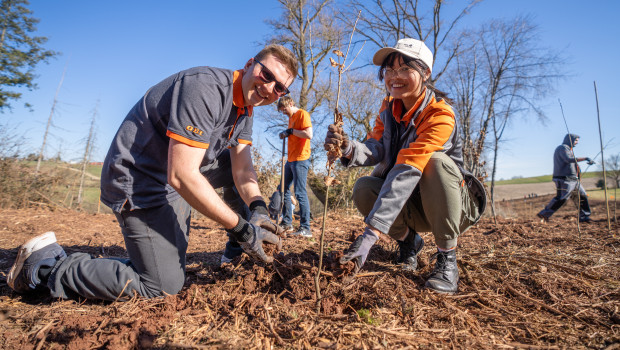Neben Roteichen, Traubeneichen und Hainbuchen haben die Obi-Mitarbeitenden auch Winterlinden, Spitzahorn und Esskastanien gepflanzt.&nbsp;