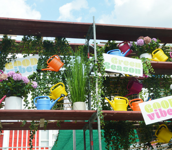 So bunt geht es bei den Gartenpflanzen auf der Freifläche zu.