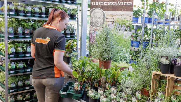 Die Mehrweg-Pflanzentrays wurden bereits 2023 in den Globus-Baumärkten getestet.