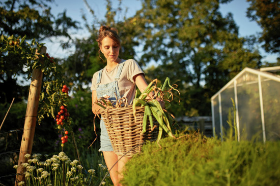 Der Anbau von Obst und Gemüse ist unter Gartenbesitzern beliebt. 66 Prozent der Befragten empfinden Freude, ihre Pflanzen wachsen zu sehen.&nbsp;
